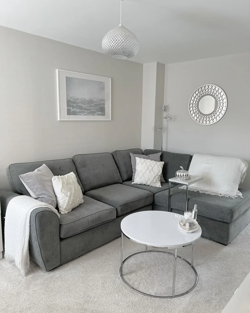 5. Sleek Comfort in Monochrome Gray (Small Living Room Ideas)