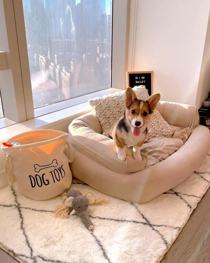 7. Sunlit Urban Pup Lounge in Soft Neutrals (Dog Bedroom Ideas)